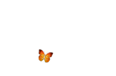 Carola Cora